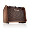 Fishman Loudbox Mini Charge 60W wzmacniacz do Gitary akustycznej z akumulatorem